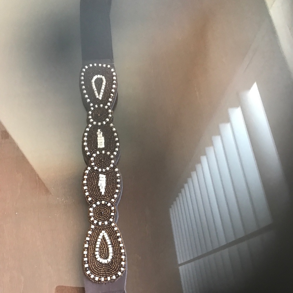 Anthropology Belt